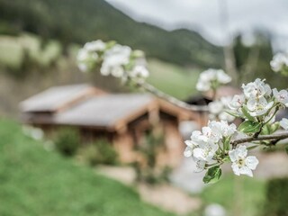 Außenansicht Chalets