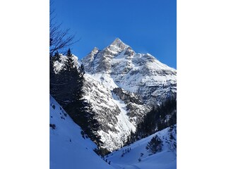 Hochvogel