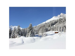 Winterlandschaft mit Hochvogel