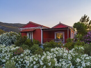 Villa Agia Paraskevi (Samos) Außenaufnahme 5