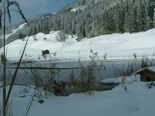 Seesumpfer See in der Nachbarschaft