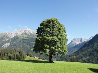 Pfarrig mit Ruitelspitz im Hintergrung