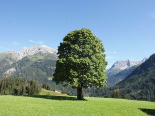 Pfarrig mit Ruitelspitz im Hintergrung