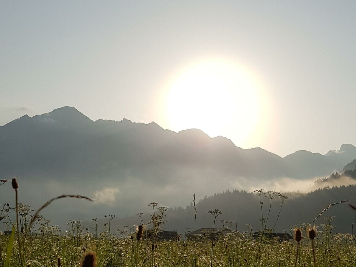 Sonnenaufgang über der Wiese