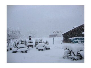 "Blick in den Garten" Winter 2015