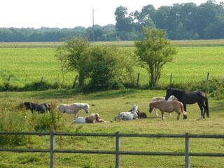 Bed & Breakfast Liverdy-en-Brie Ambiente 30