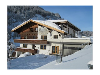 hauswinter