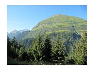 IMG_0390