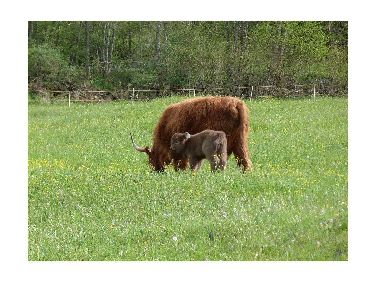 Unsere tierischen Nachbarn