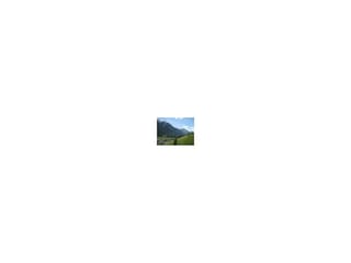 IMG_0352[1]