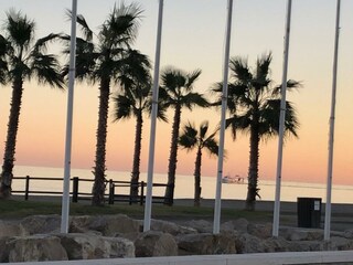 Palmenoasen am Strand