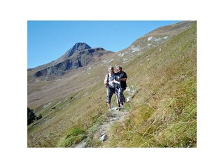 Alpenrosensteig Bach/Elbigenalp