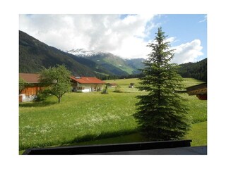 Balkonaussicht Waldfrieden