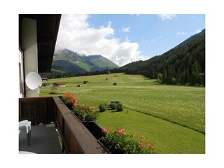 Balkonaussicht Waldfrieden (2)