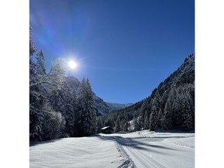 Ferienwohnungen_Kleinwalsertal_fuer_2-4-6_Personen