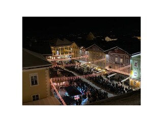 Appartamento per vacanze Mondsee Registrazione all'aperto 11