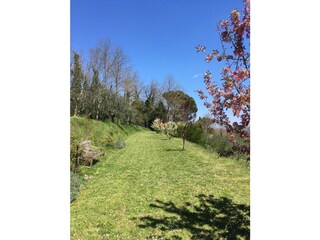 Vakantiehuis Orvieto Buitenaudio-opname 9