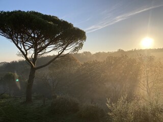 Casa per le vacanze Orvieto Registrazione all'aperto 11