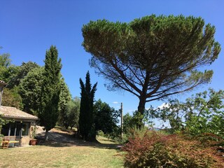 Vakantiehuis Orvieto Buitenaudio-opname 10