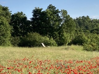 Holiday house Orvieto Outdoor Recording 16