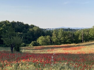 Vakantiehuis Orvieto Omgeving 27