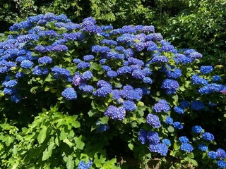 Vakantiehuis Orvieto Buitenaudio-opname 8