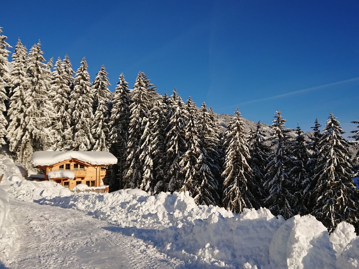 Das Waldschlössl im Winter