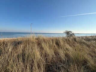 Ferienwohnung Scharbeutz Umgebung 12