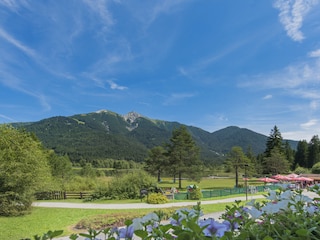 Balkonausblick im Sommer