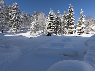 Garten Ferienwohungen Haus Wildsee im Winter