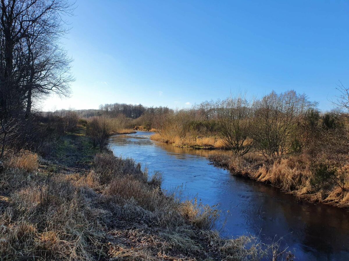 Maison de vacances Ansager  25