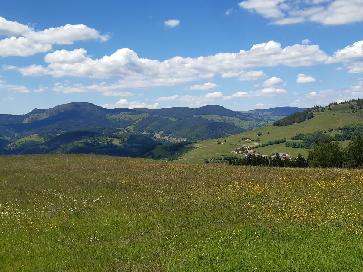 herrlicher Sommertag