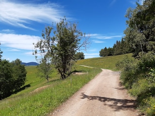 Wanderweg mit schöner Aussicht