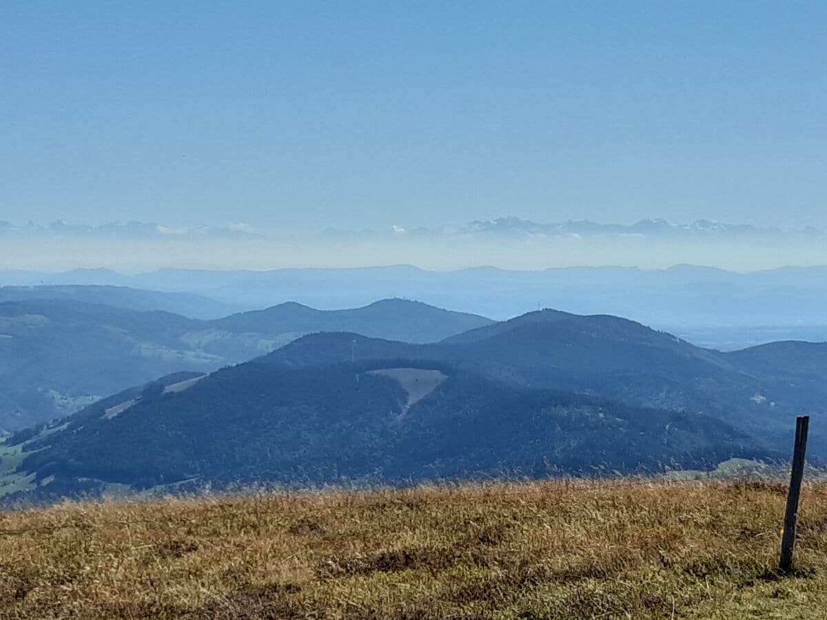 Fernsicht vom Belchen zu den Schweizer Alpen