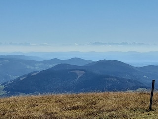 Fernsicht vom Belchen zu den Schweizer Alpen