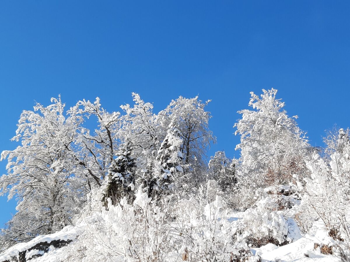 Neuschnee beim Haus