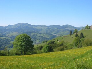 Frühling im Südschwarzwald