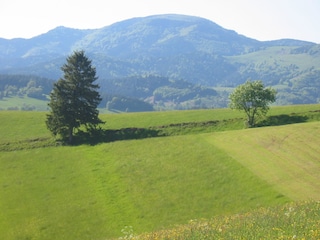 Blick zum Belchen - schönster Aussichtsberg