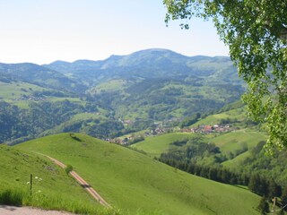 Frühsommer im Südschwarzwald