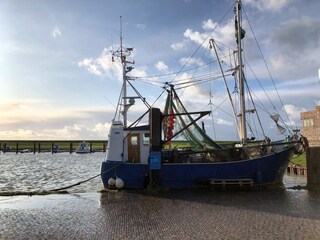 Krabbenkutter im Dangaster Hafen