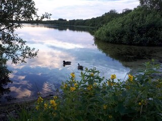 Holiday house Ansager  3