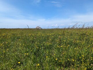 Casa de vacaciones Gedser  38