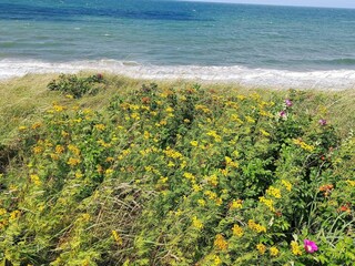Casa per le vacanze Gilleleje  18
