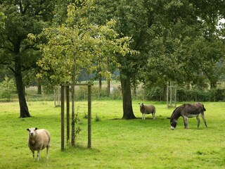 Bauernhof Beernem Außenaufnahme 4
