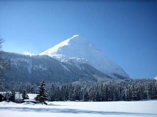 Appartamento per vacanze Leutasch Ambiente 23