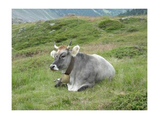 Appartamento per vacanze Leutasch Ambiente 28