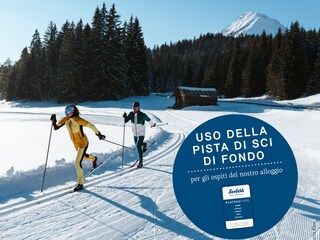 Appartamento per vacanze Leutasch Documento 41