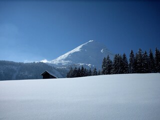 Appartamento per vacanze Leutasch Ambiente 25