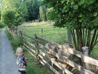 Holiday house Lesná u Tachova Environment 27