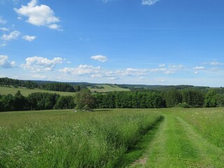 Ferienhaus Lesná u Tachova Umgebung 30